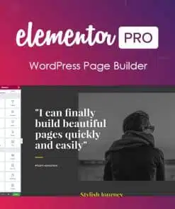 Elementor PRO WordPress Page Builder v3.32.3